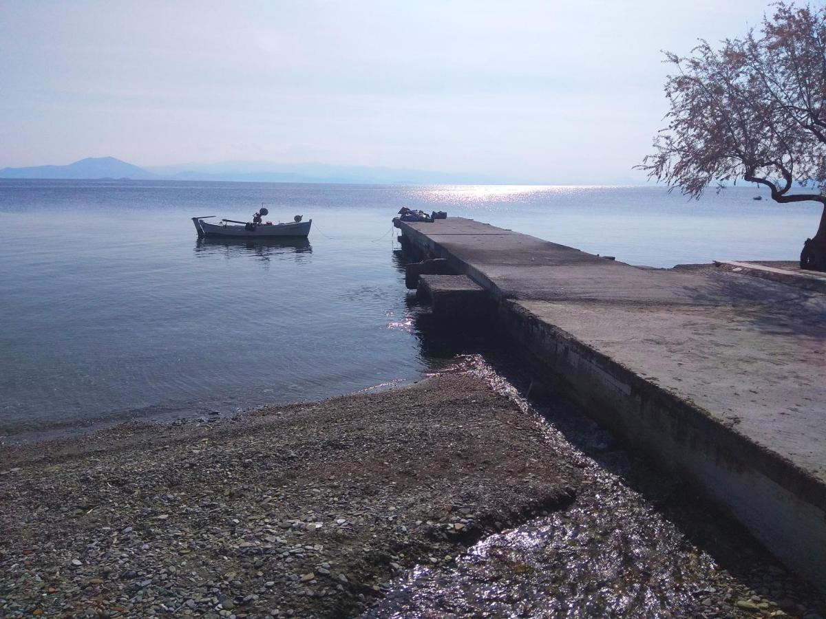 Marina Traditional Stonehouse Afetai Экстерьер фото